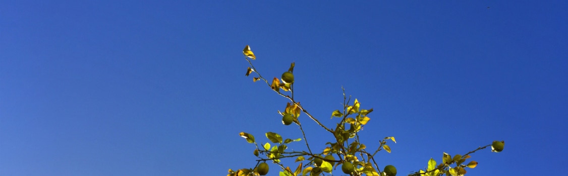 Psychotherapy, counselling and Supervision in Brighton. Psychoanalytic Psychotheraoy, Psychodynamic Counselling, Clinical Supervision. Who i work wiht, How i work